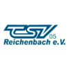 TSV 05 Reichenbach